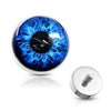 WildKlass Eyeball 316L Surgical Steel Internally Threaded Dermal Anchor Top-WildKlass Jewelry