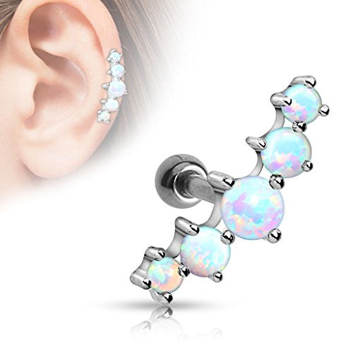 Conch jewelry surgical on sale steel