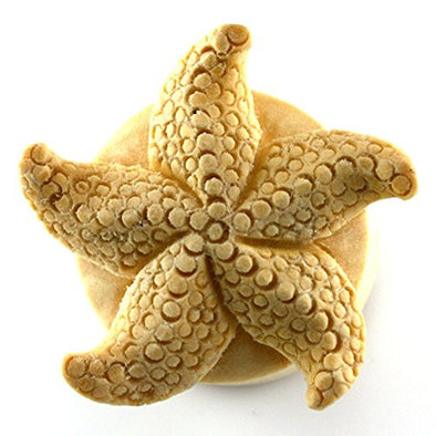 Starfish Treasures WildKlass Plugs (Sold as Pairs)-WildKlass Jewelry