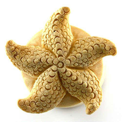 Starfish Treasures WildKlass Plugs (Sold as Pairs)-WildKlass Jewelry